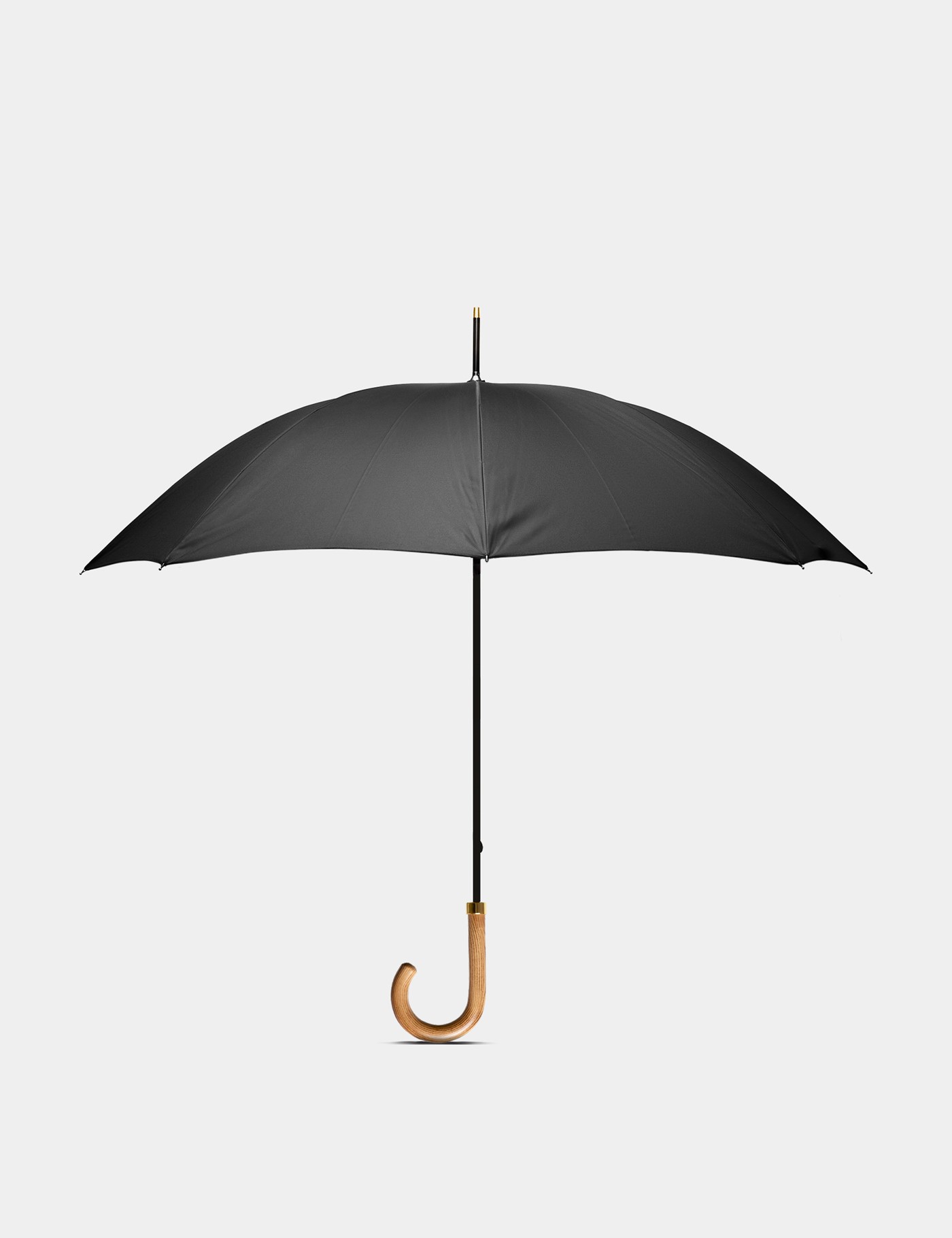 & Walking Umbrella One